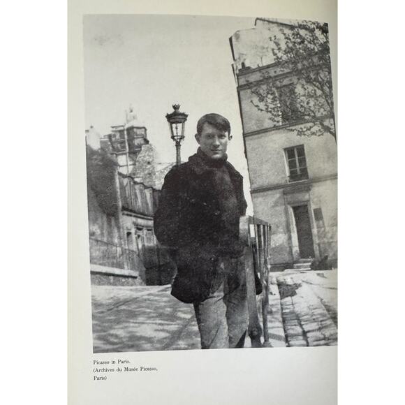 Pablo Picasso 1905 - 1906 Book (English Edition) Brochure (Spanish) Rose Ochres - Picture 5 of 11